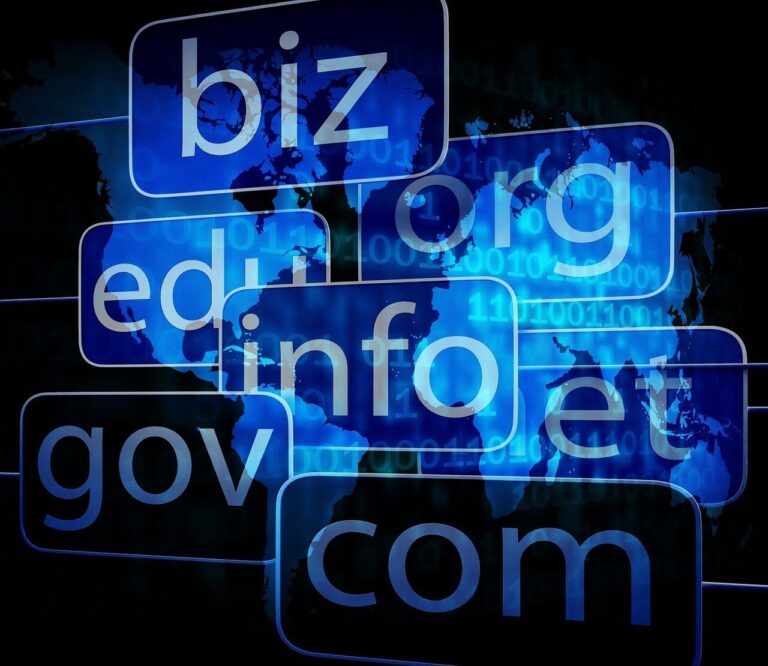 domain dan hosting