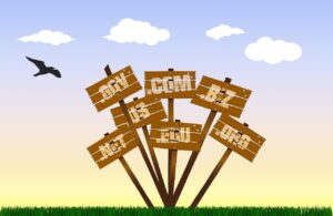 Cara Memilih Domain yang Bagus untuk Bisnis