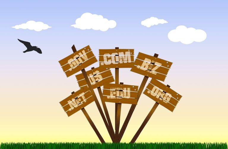 Cara Memilih Domain yang Bagus untuk Bisnis